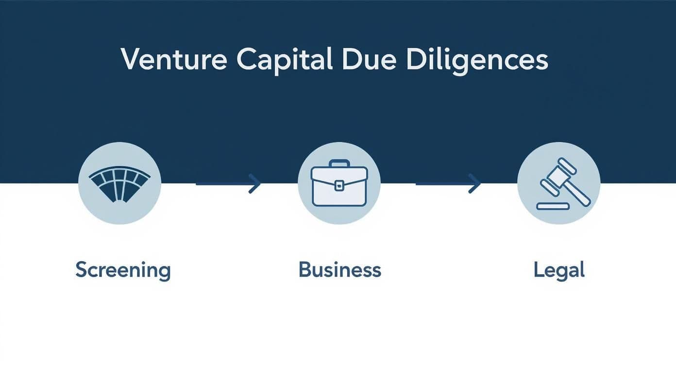 Infographic about venture capital due diligence